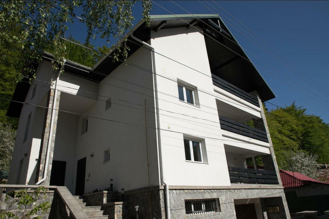 Studio 35 Buşteni Exterior foto